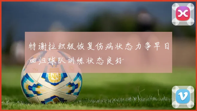 特谢拉积极恢复伤病状态力争早日回归球队训练状态良好