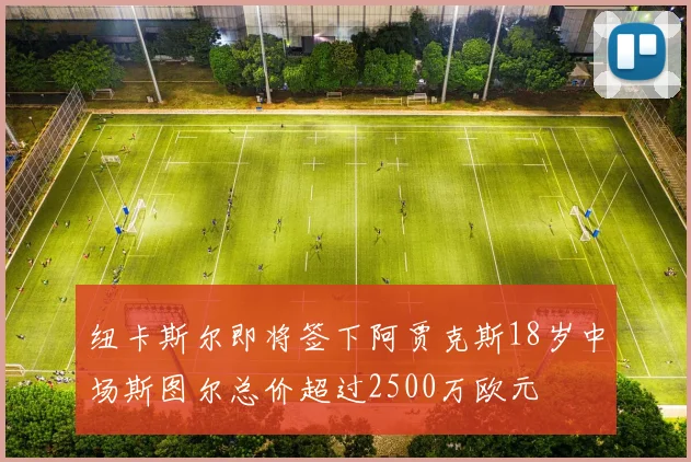 纽卡斯尔即将签下阿贾克斯18岁中场斯图尔总价超过2500万欧元